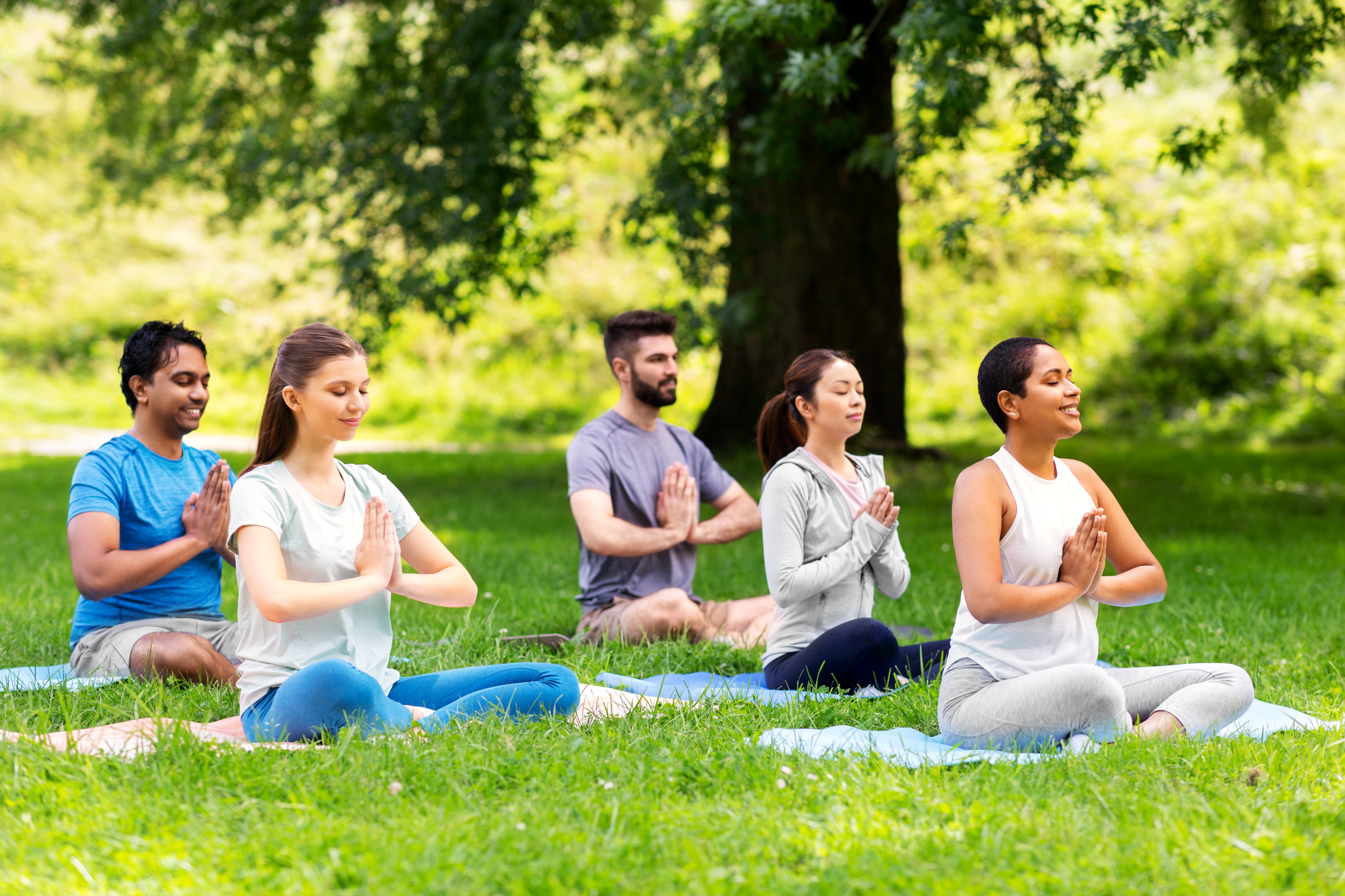 Yoga and wellness activities